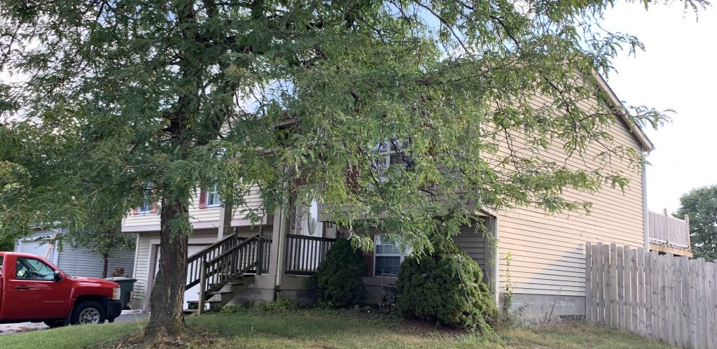 A Columbus, Ohio house prior to renovation.