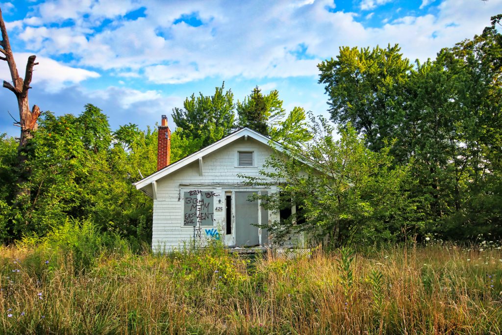 An abandoned house way back in the weeds by a forest.