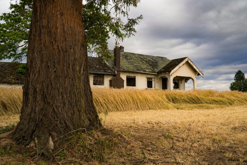 A home by a big tree in a field of wheat during the COVID eviction moratorium period.