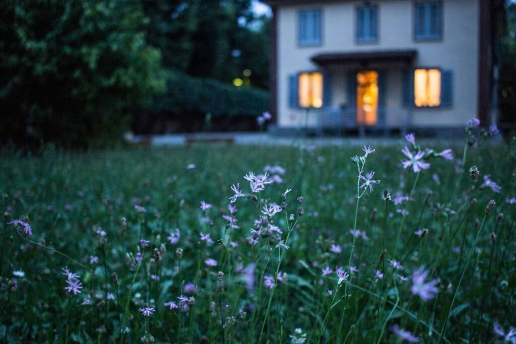 A small house in a hot house market with little flowers in front.